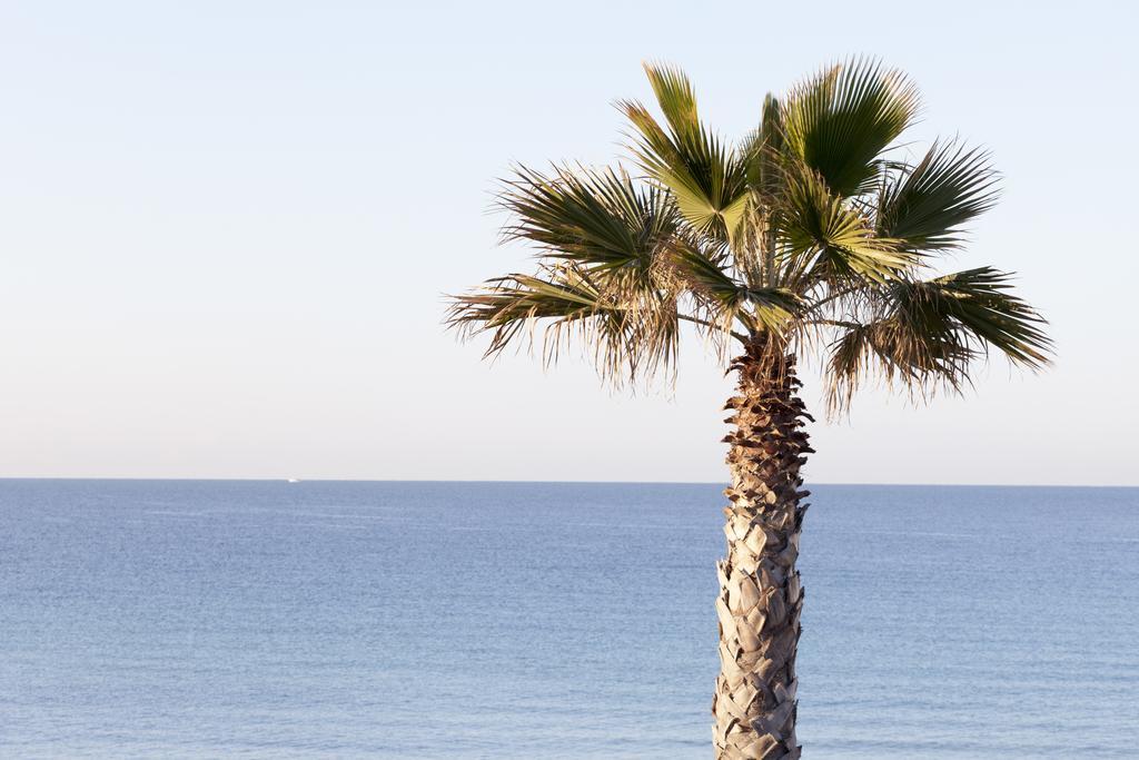 Sud Beach Hotel Fronte Mare By Ria Hotels Marina Di Pulsano Rom bilde